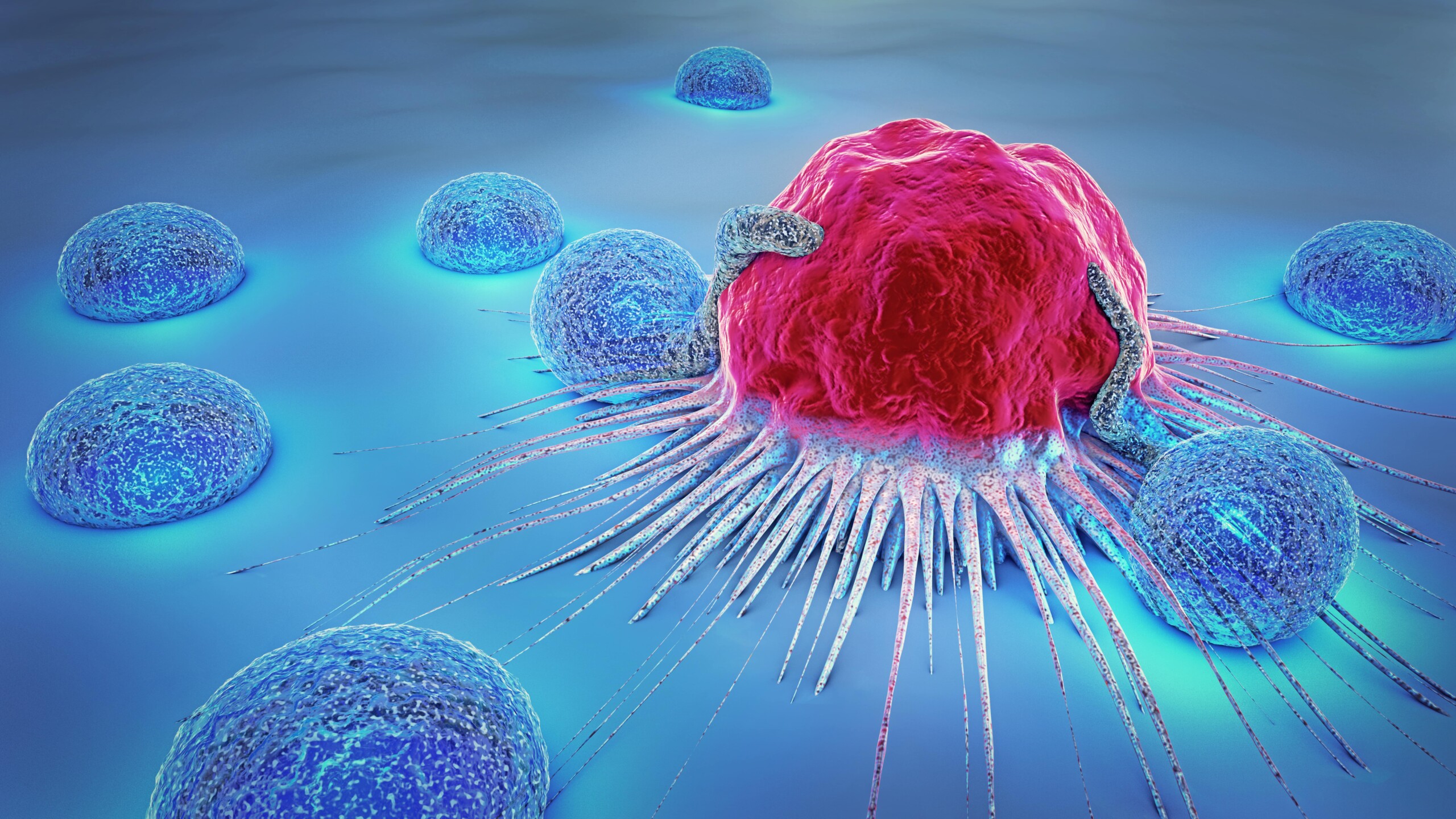 What Are the Different Stages of Cancer?